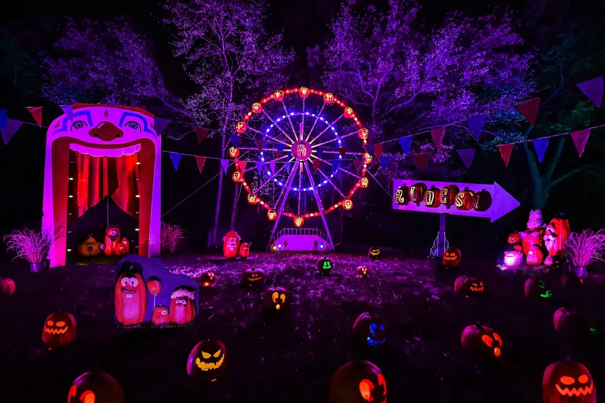 Finibus Tortor - Glowing Pumpkins in Tucson: A Halloween Event