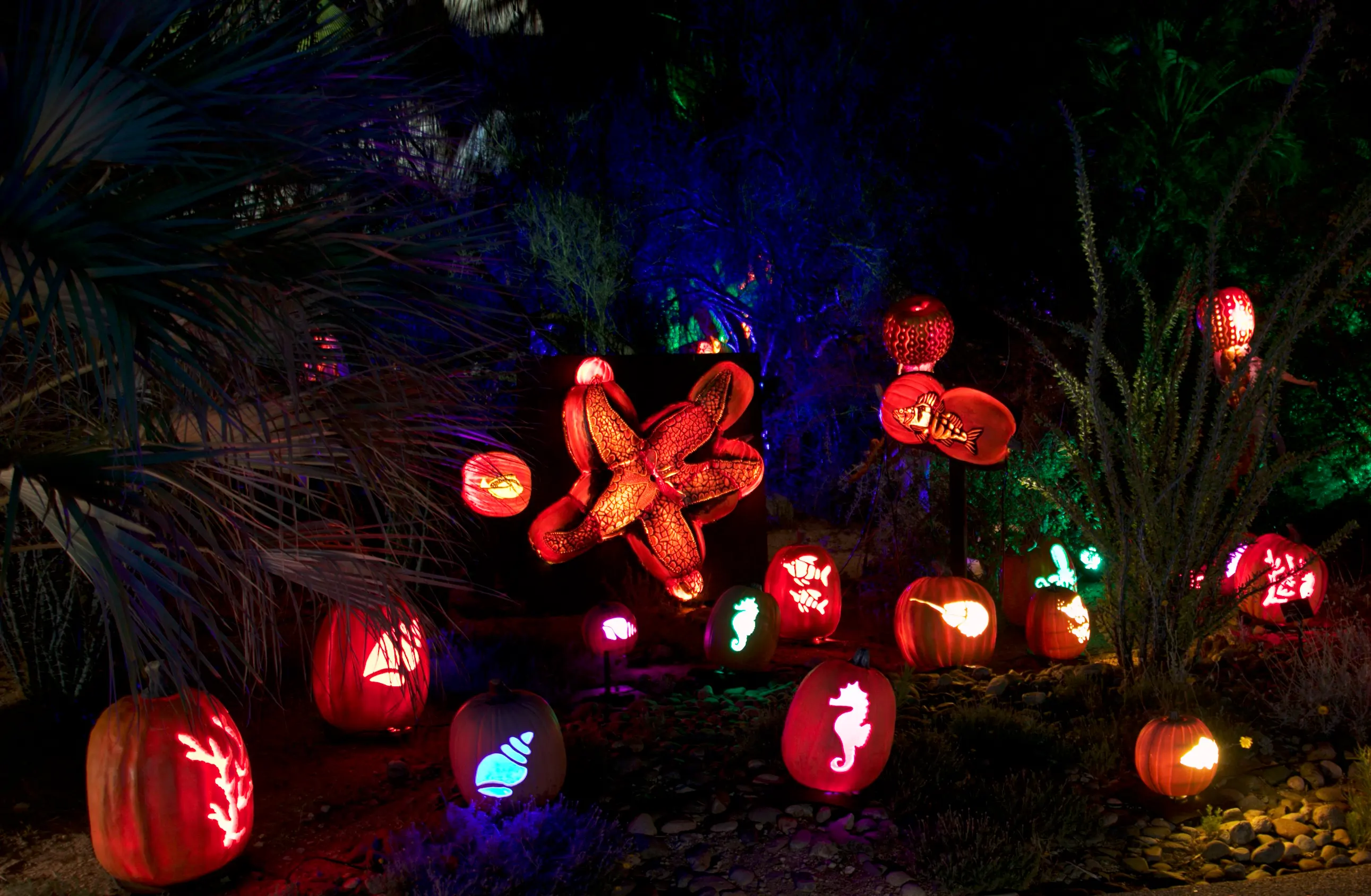 Finibus Tortor - Glowing Pumpkins in Phoenix: A Halloween Event